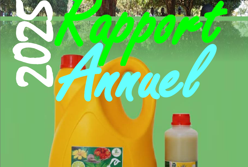 Rapport annuel 2025